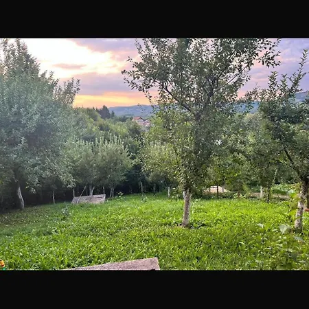 Anelora House شقة Gladno Polje