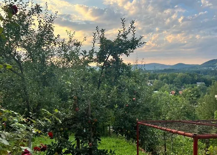 Apartmán Anelora House